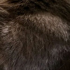 Meet your Posher, Lucy